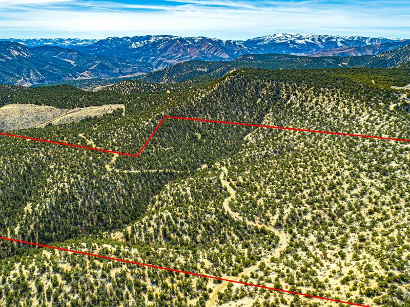 25 Ac in Duchesne County, $20K Down : Strawberry : Duchesne County : Utah