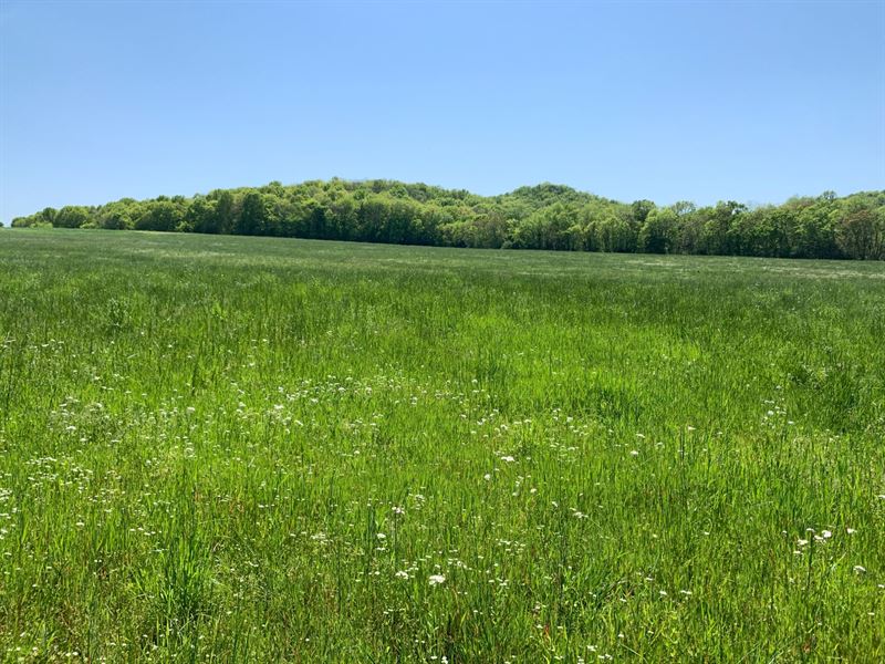 Ogilvie Farm : College Grove : Williamson County : Tennessee