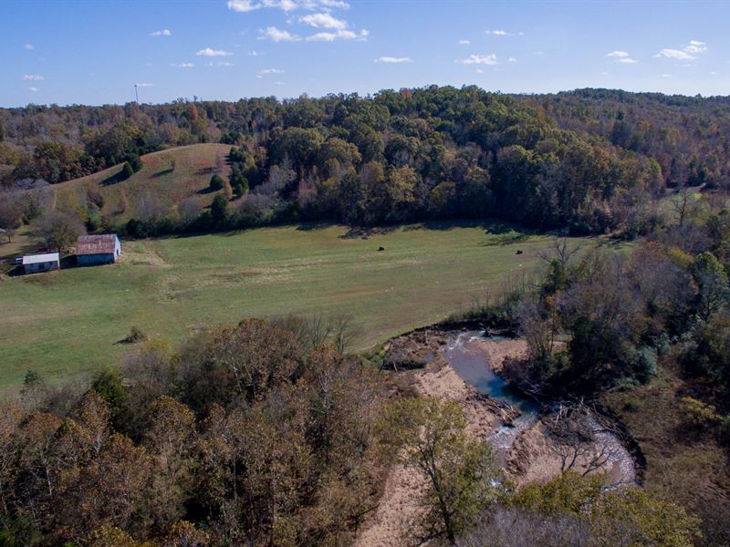 130 Acres On Hurricane Creek : Waverly : Humphreys County : Tennessee