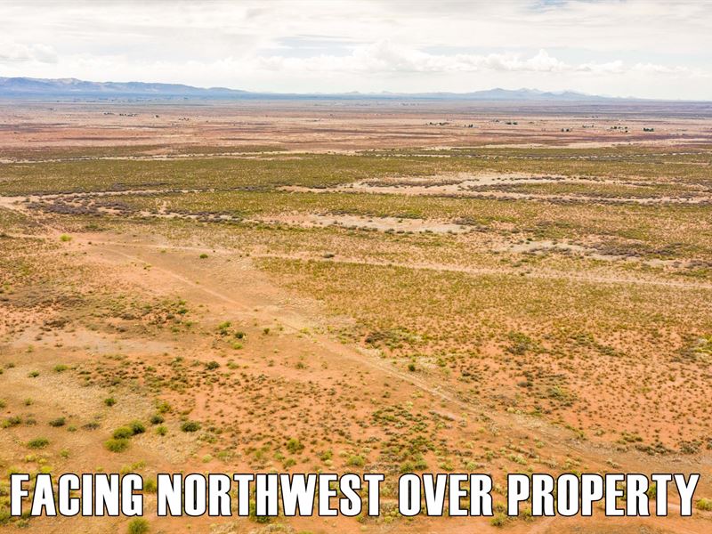 30 Percent Down, 48+ Ac Near Town : Douglas : Cochise County : Arizona