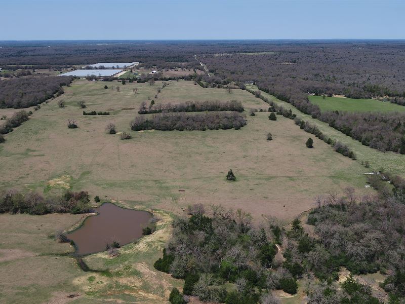 133.6 Acres in Robertson County, TX : Bremond : Robertson County : Texas
