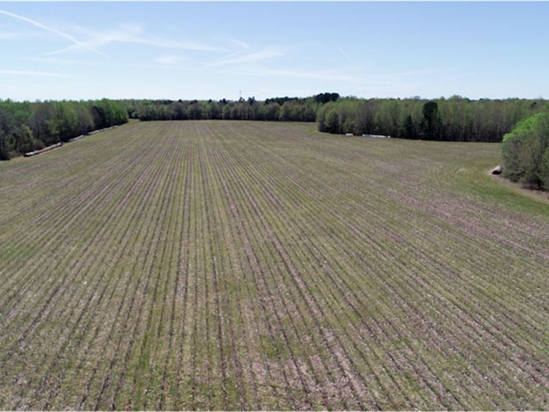 54.5 Acre Farm : Waynesboro : Burke County : Georgia