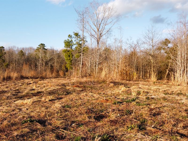 Elbert County Tract with Options : Elberton : Elbert County : Georgia