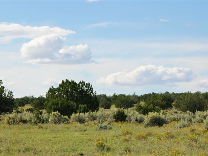 Northern AZ Highlands Homestead : Saint Johns : Apache County : Arizona