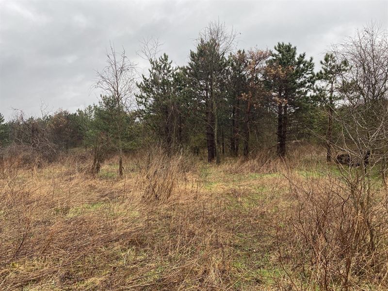 Mt. East Rd. Fayette County, 78 Ac : Connellsville : Fayette County : Pennsylvania