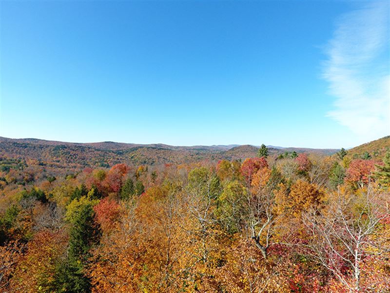 Harrisville Brook Forest : Marlboro : Windham County : Vermont