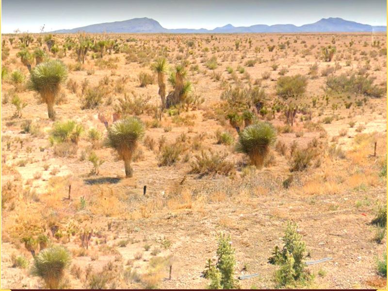 20 Ac in Tx, Great Investment, Ranch for Sale by Owner in Texas