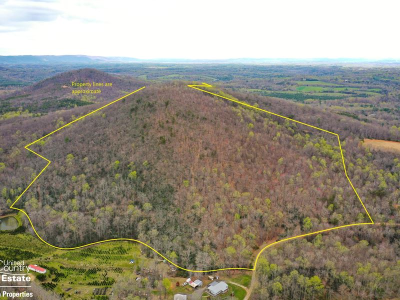 Mountain Property for Sale : Lowgap : Surry County : North Carolina