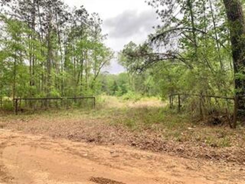 First Class Hidden Jewel : Waren : Tyler County : Texas