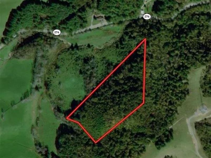 16.62 Acres of Hunting and Recreati : Independence : Grayson County : Virginia
