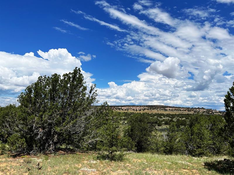 640 Acres in Ramah, New Mexico, Ranch for Sale in New Mexico, 318226