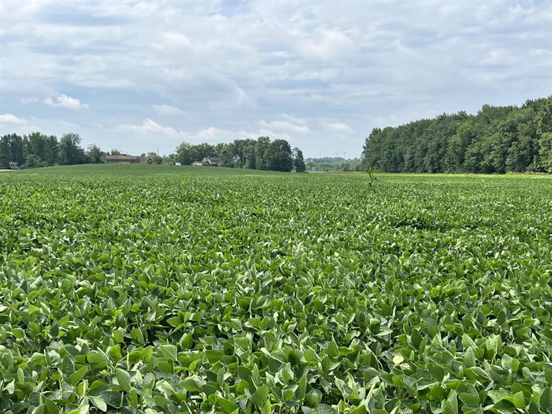 18.5 Acres Warrick County : Boonville : Warrick County : Indiana