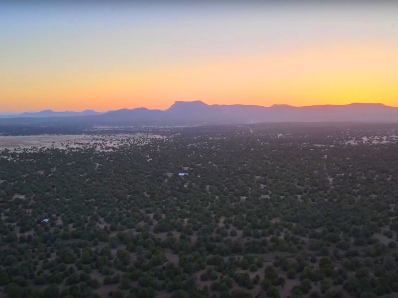 Pine Trees Forever & Mountain Views : Seligman : Yavapai County : Arizona