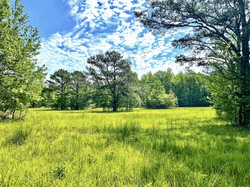 Double Creek Preserve : Sparta : Hancock County : Georgia