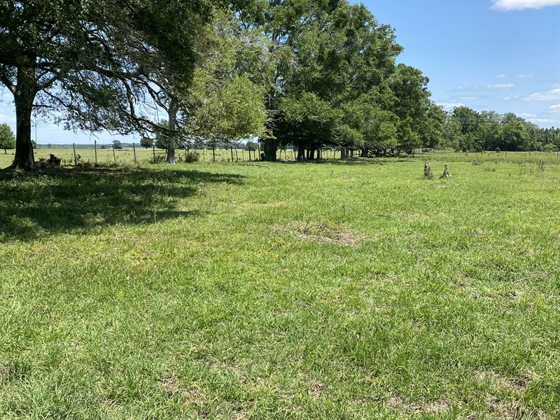 50 Acres in Madison County : Lee : Madison County : Florida