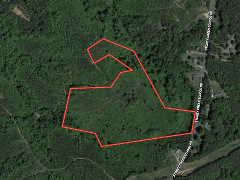 19.5 Acres of Recreational and Resi : Reidsville : Caswell County : North Carolina