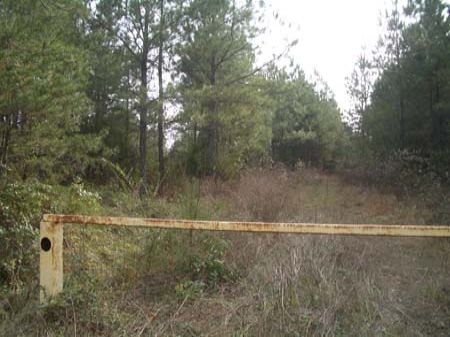 113 Ac - Culp Lake Road - R81196a : Cedartown : Polk County : Georgia