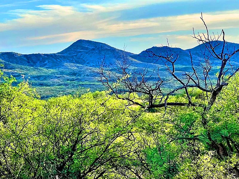 Full 40 Ac, Farm & Live, Mtn View : Willcox : Cochise County : Arizona