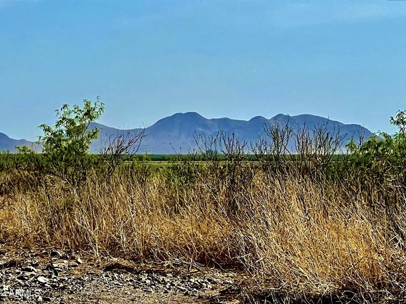 So Easy, Farm & Live with Mtn View : Willcox : Cochise County : Arizona