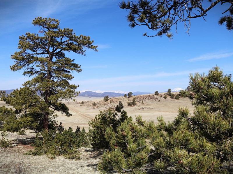 Hidden Meadows Ranch : Hartsel : Park County : Colorado