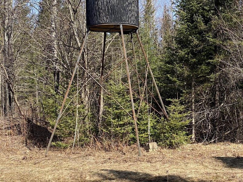 Martin Hunting Camp : Butternut : Ashland County : Wisconsin