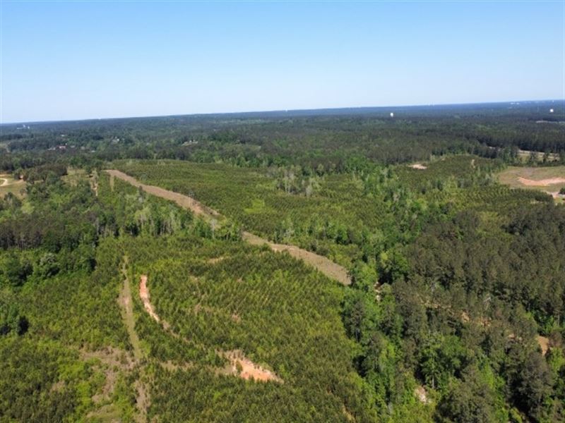 Myers Creek 76 Ac : Hattiesburg : Forrest County : Mississippi