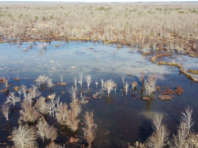 195 Acre Deer & Duck Hunting LA : Jonesville : Catahoula Parish : Louisiana