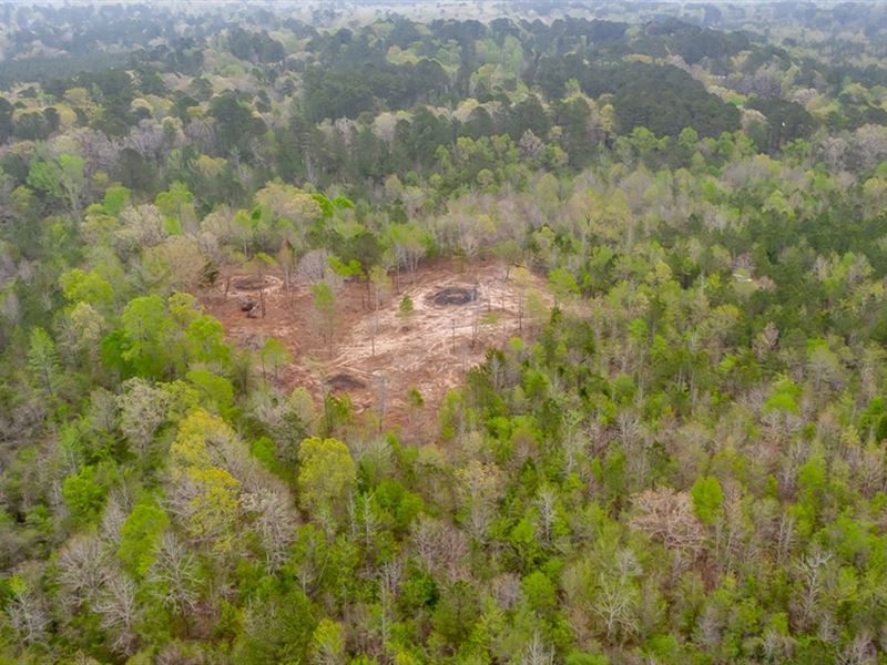 95 Acres Land for Sale Lincoln Pari : Ruston : Lincoln Parish : Louisiana