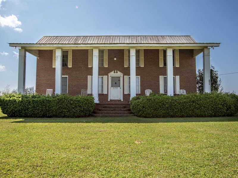 Cohassett Farms : Grand Ridge : Jackson County : Florida