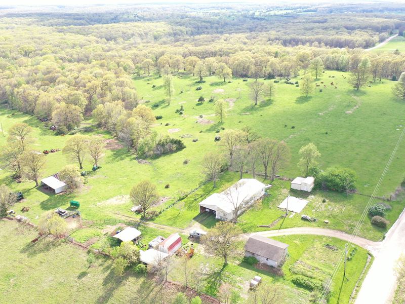 Morgan County 60.5 Acre Hobby Farm : Stover : Morgan County : Missouri