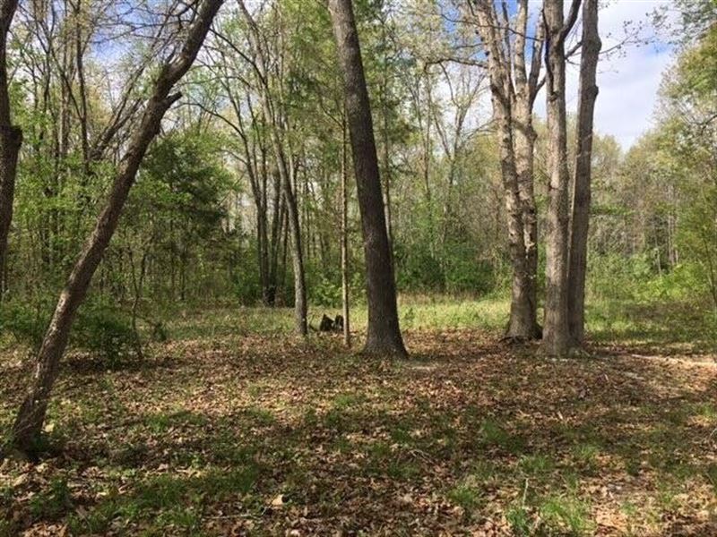 10 Acres, Trees, No Restrictions : Mountain View : Howell County : Missouri