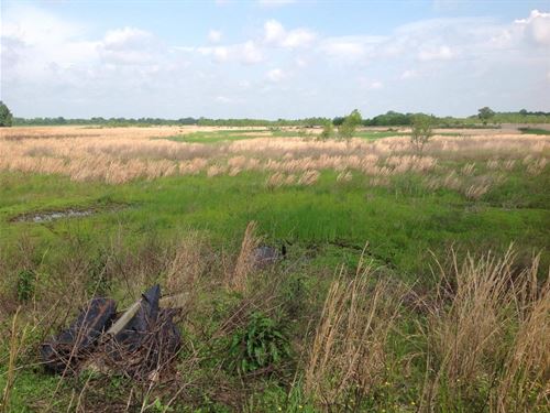 80 Acres Arkansas Duck & Deer Hunti : Augusta : Woodruff County : Arkansas