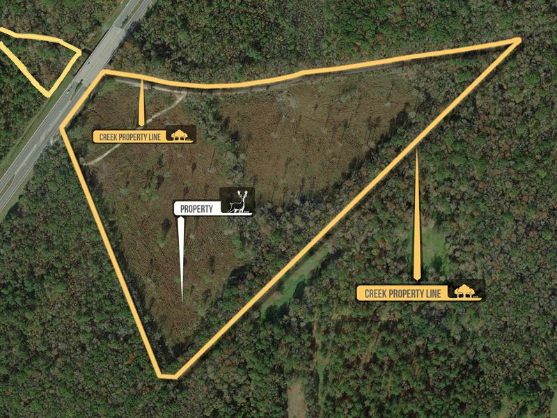 39.44 Acres, SR 200 Callahan : Callahan : Nassau County : Florida