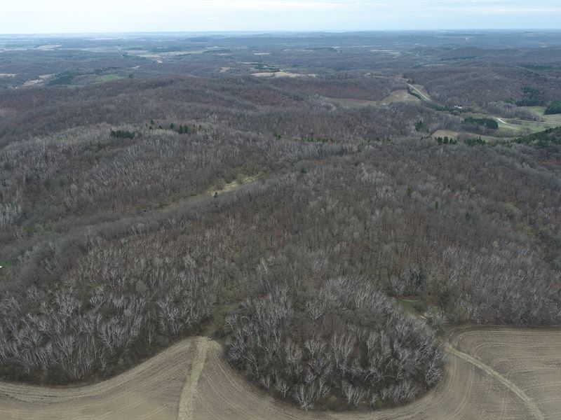 105.9 Acres, Trempealeau County : Eleva : Trempealeau County : Wisconsin