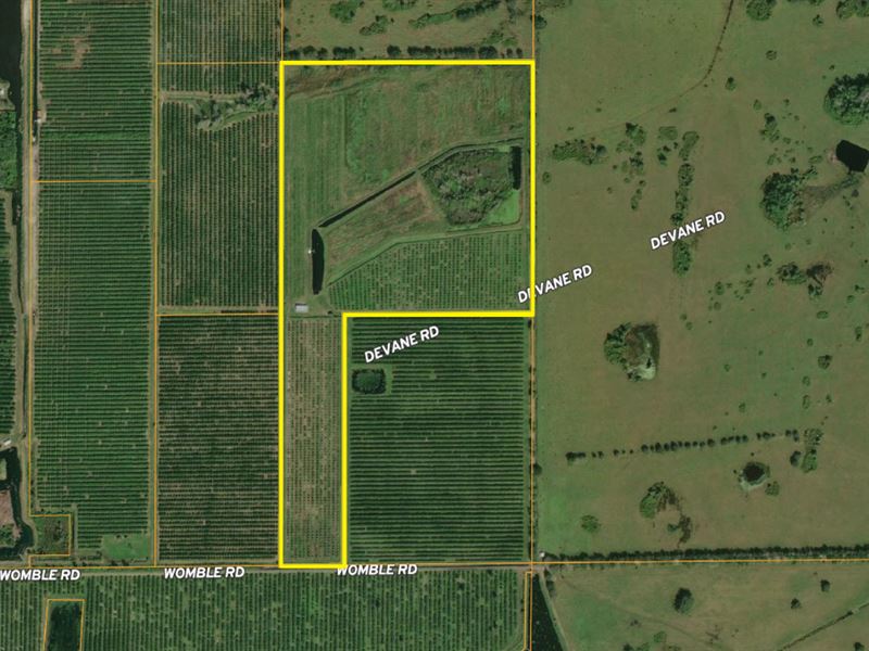 Highlands County Recreational Acres : Lake Placid : Highlands County : Florida