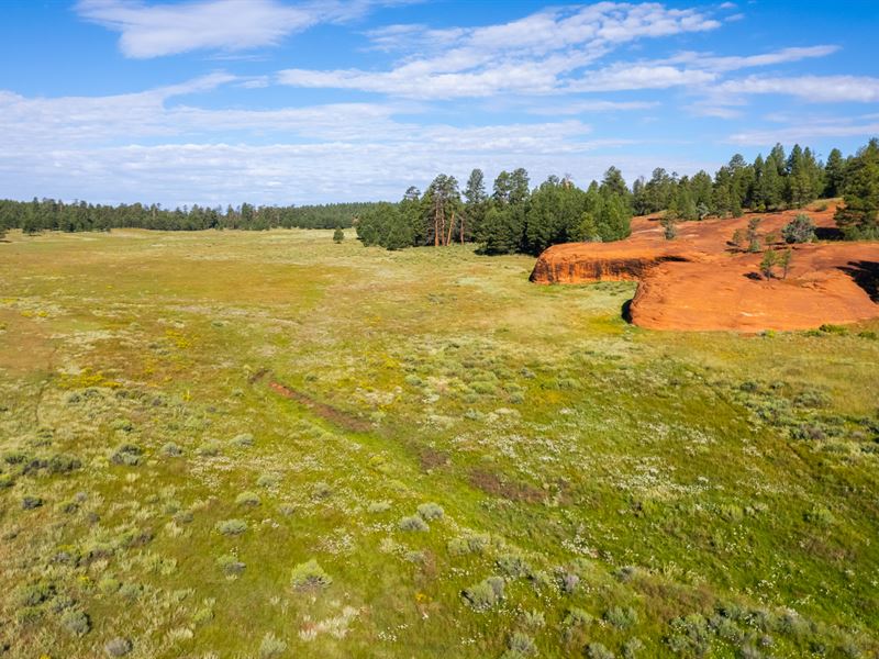 Elk Mountain Ranch : Grants : Cibola County : New Mexico