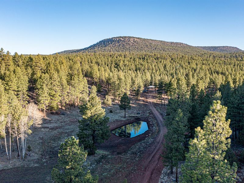 Spring Creek Ranch : Sawyer : Cibola County : New Mexico