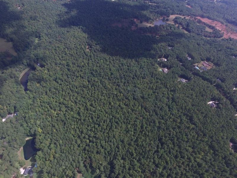 Huntcliff Manor, 212 Acres, Ranch for Sale in 320575 RANCHFLIP