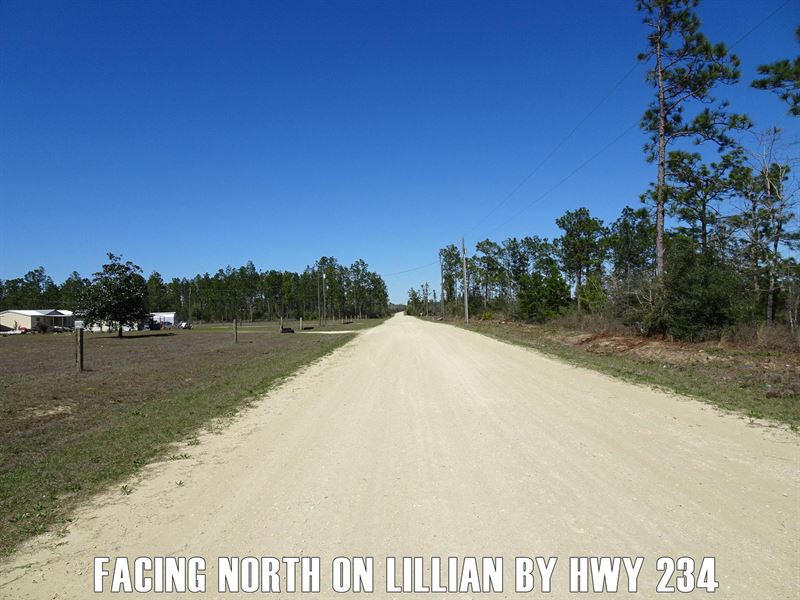 $9,900 Down Secluded By Panama City : Fountain : Calhoun County : Florida