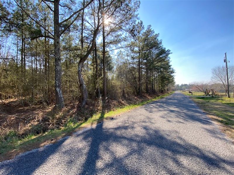 20 Acres on Jones Chapel Loop : Springville : Blount County : Alabama
