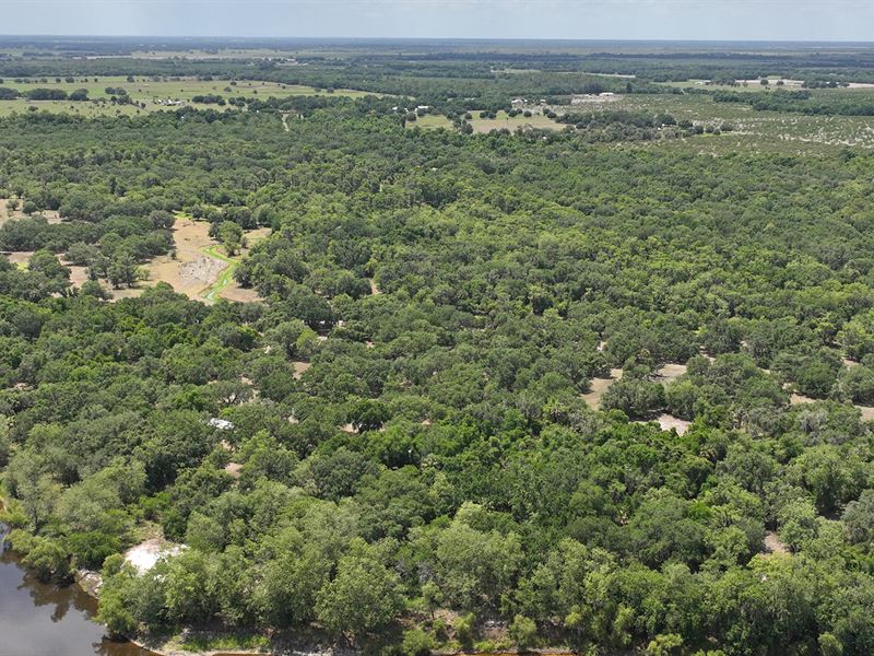 Peace River Hunting Retreat : Arcadia : DeSoto County : Florida