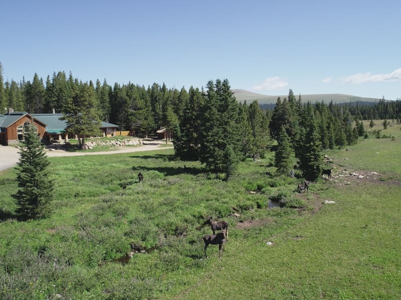 Wyoming High Country Lodge : Lovell : Big Horn County : Wyoming