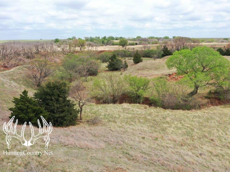 Online Auction Woods County Tract 1 : Alva : Woods County : Oklahoma