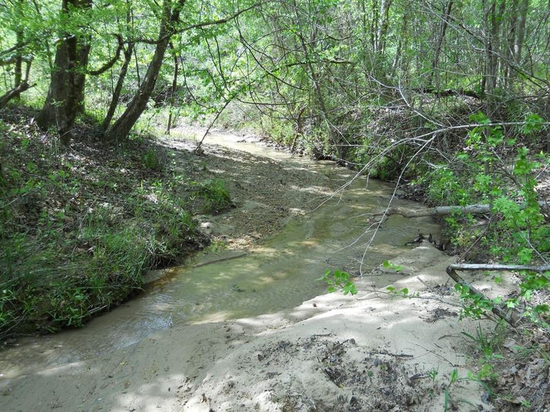 263 Acre Tract in Wilkinson Co : Woodville : Wilkinson County : Mississippi