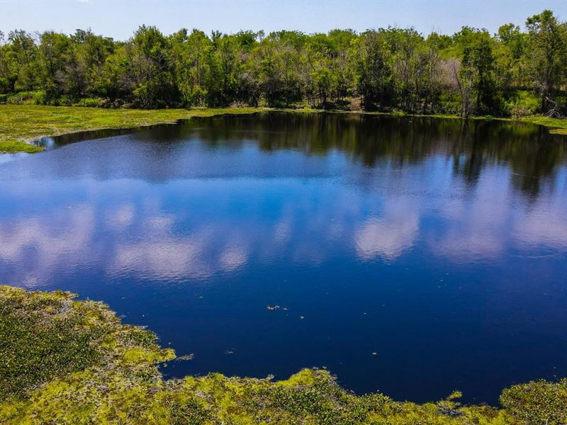Liberty Co, Ducks, Deer, Hogs, Fis : Liberty : Liberty County : Texas