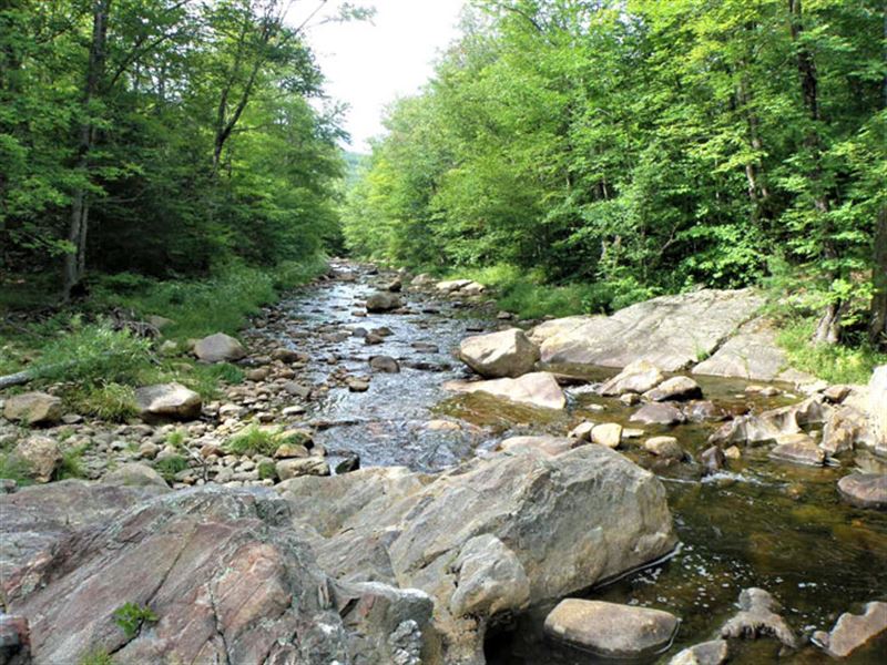 Beebe River Forest : Campton : Carroll County : New Hampshire
