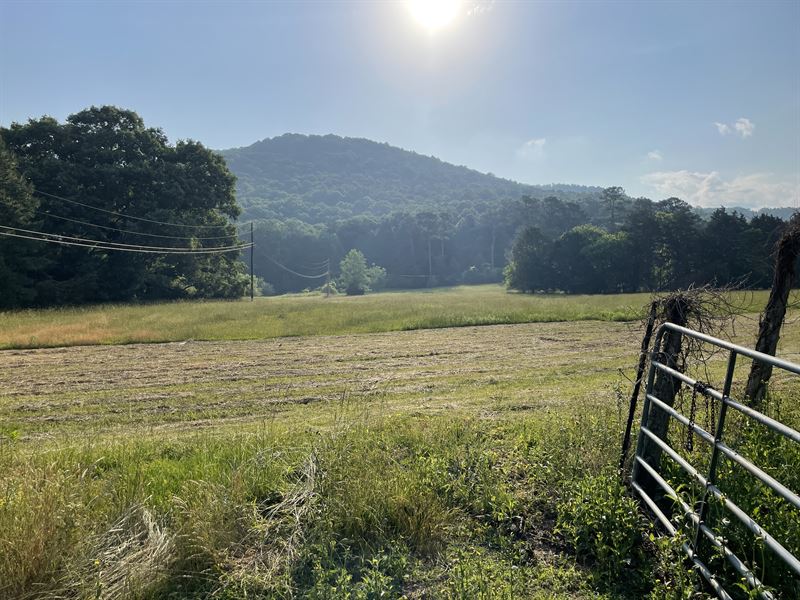 Country Living in The City Limits : Scottsboro : Jackson County : Alabama