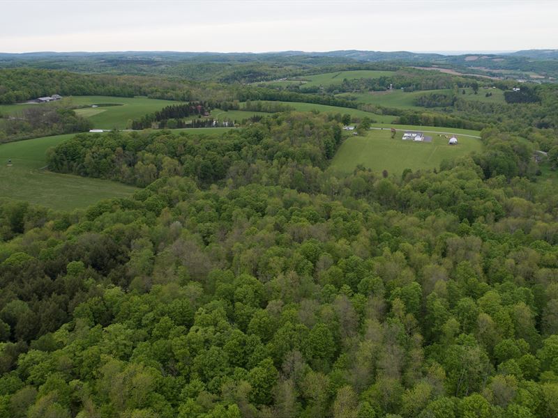 Getaway or Hunting Destination : Lebanon : Madison County : New York