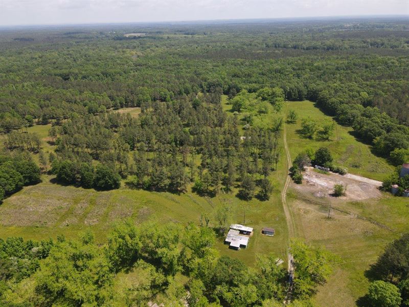 Bullock County Timber and Hunting : Union Springs : Bullock County : Alabama