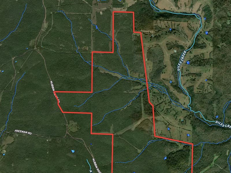 Wooded Hunting Land in Arkansas : Ravenden : Randolph County : Arkansas